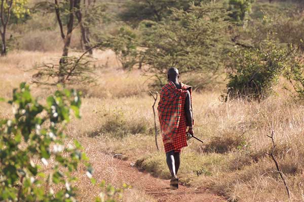 Progetto Africa