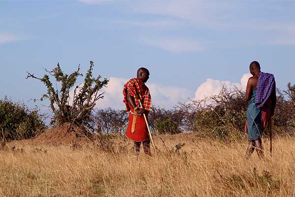 Progetto Africa