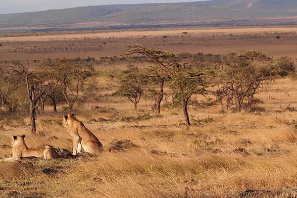 Progetto Africa