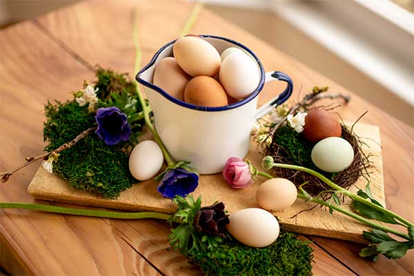 Pasqua
