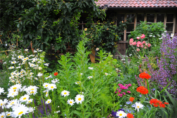Garten - Terrasse