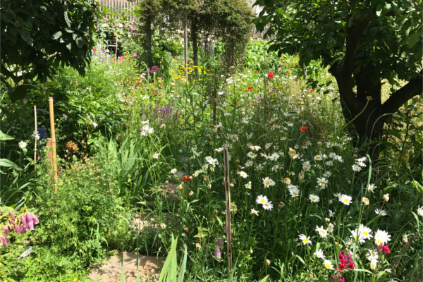 Garten - Terrasse
