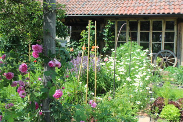 Garten - Terrasse