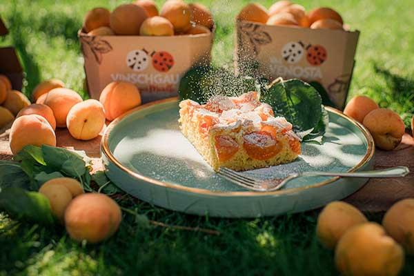 Torta di mandorle e di albicocche della Val Venosta