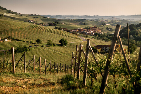 Le Antiche Cantine dei Marchesi di Barolo