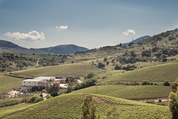 Baglio di Pianetto – Eccellenza vinicola siciliana tra tradizione e innovazione
